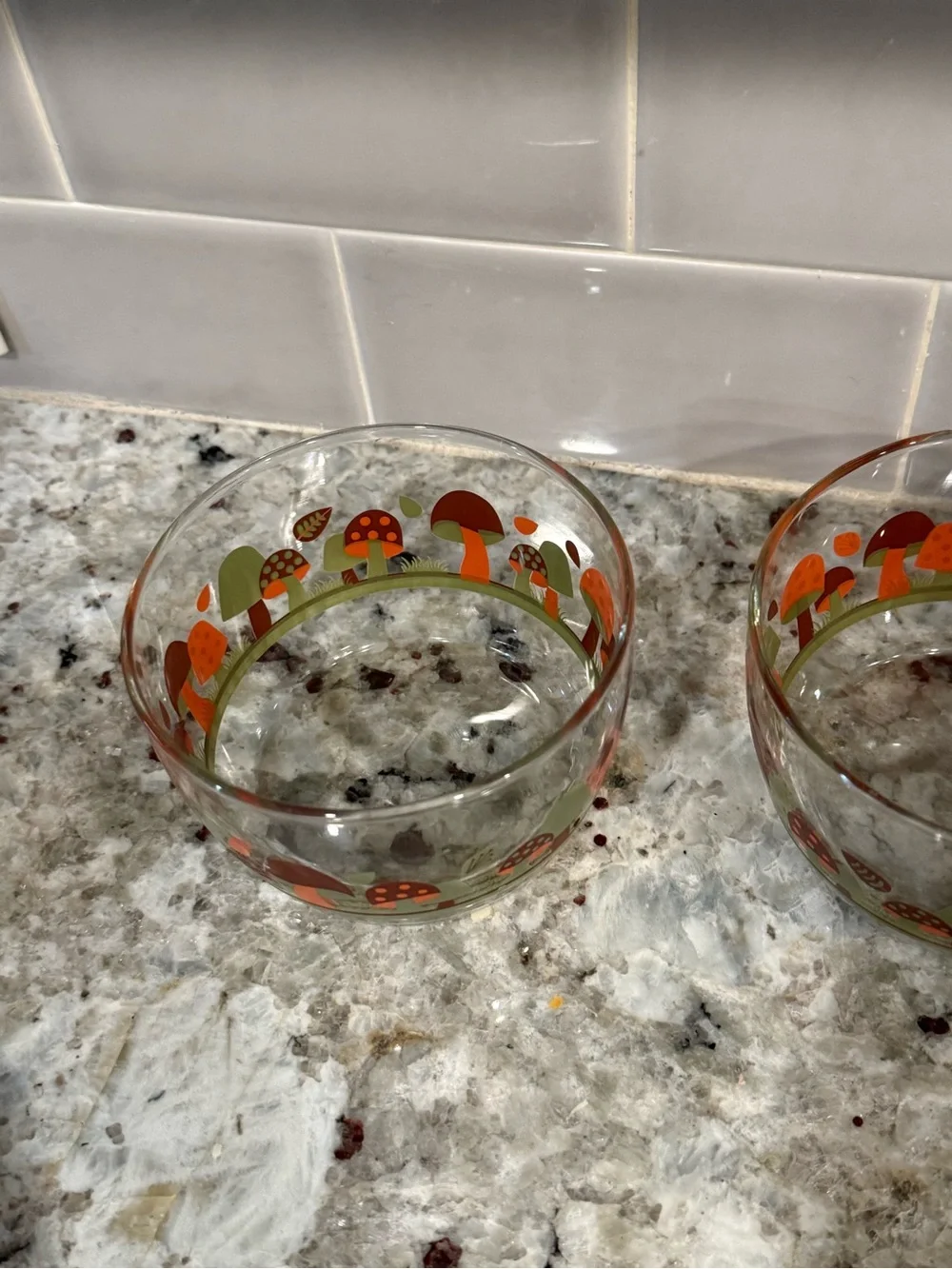 Vintage Style Mushroom Glass Bowls Set of 2 Retro Toadstool Print Clear Glass
